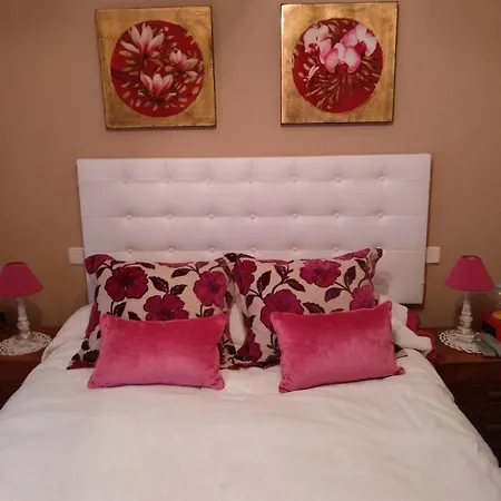 Zohet Santian * Arcones